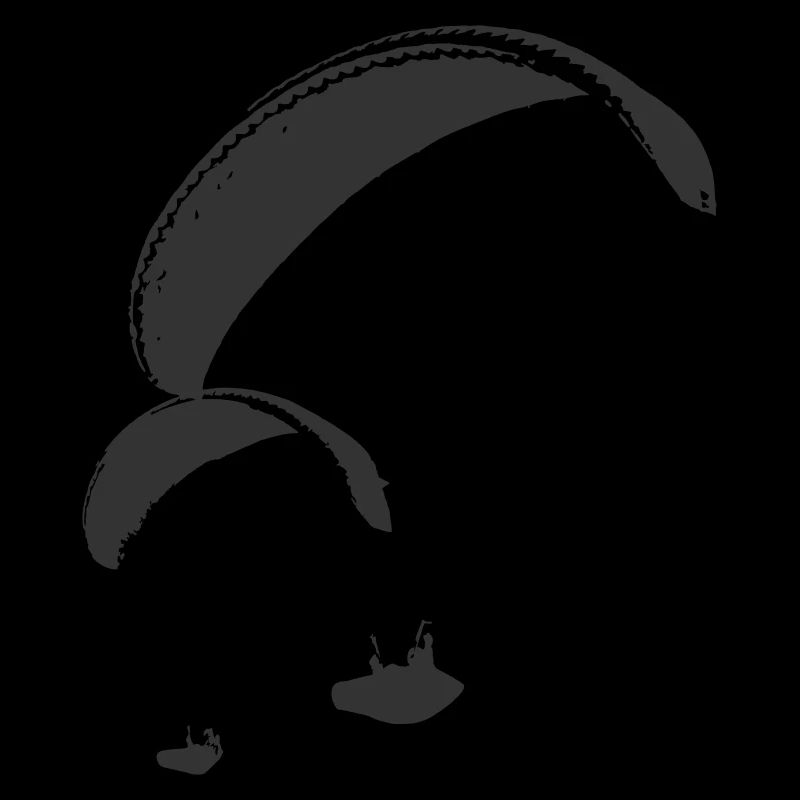 Paragliding Team