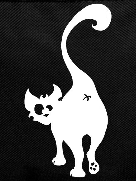 Fesses de Chat