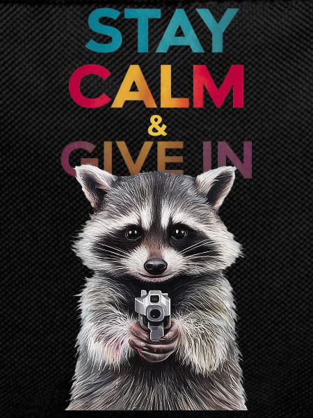 Meme raccoon