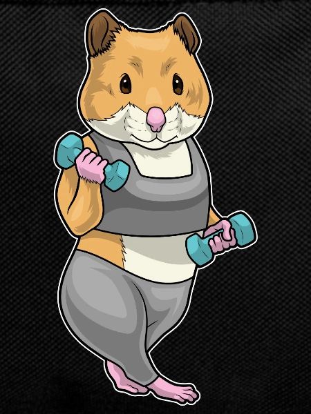 Hamster Bodybuilder Dumbbells Bodybuilding