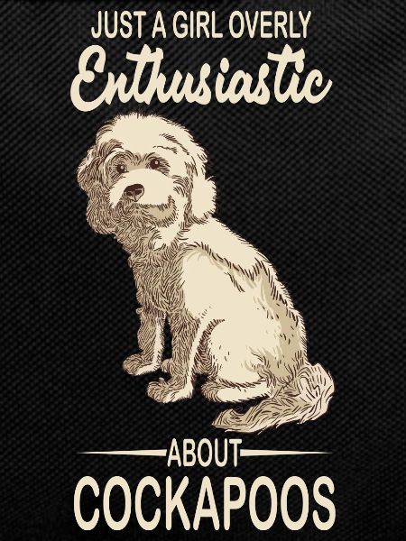 Cockapoo