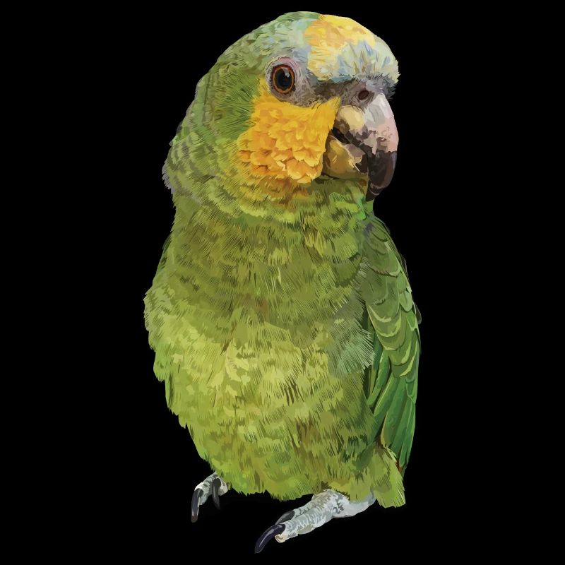 The Orange-winged Amazon