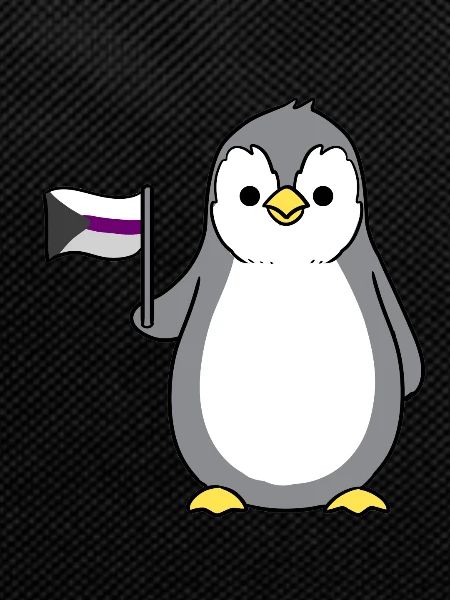 Penguin Demisexual Pride Flag