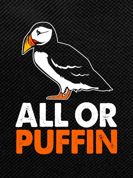 Papageientaucher Puffin