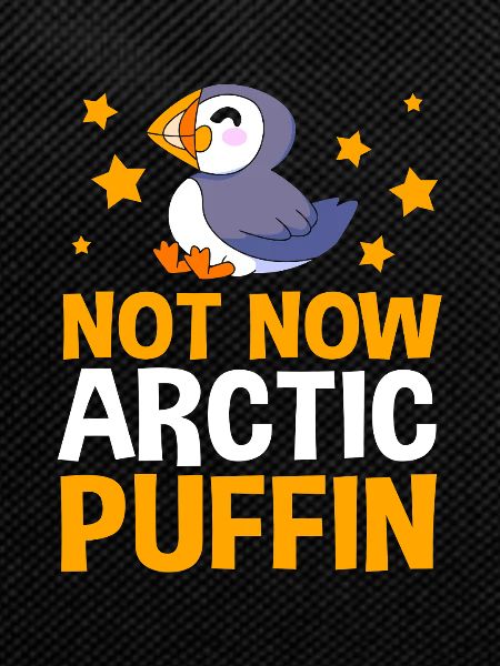 Papageientaucher Puffin