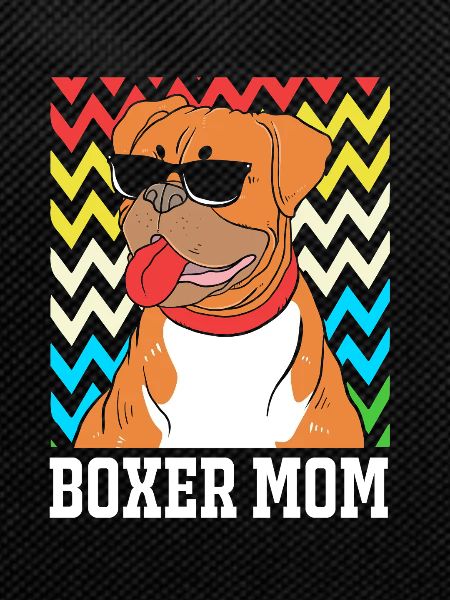 Boxer Dog