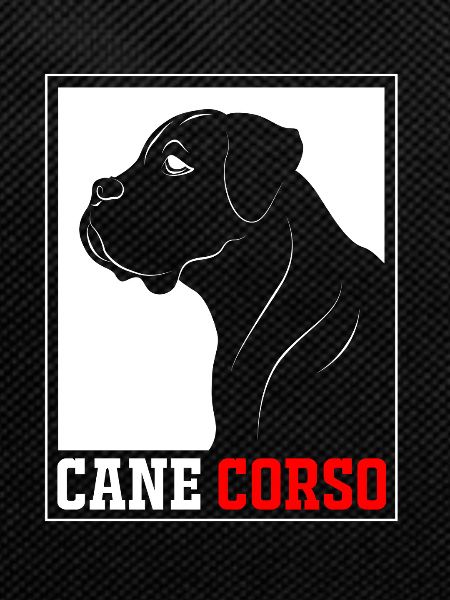Cane Corso