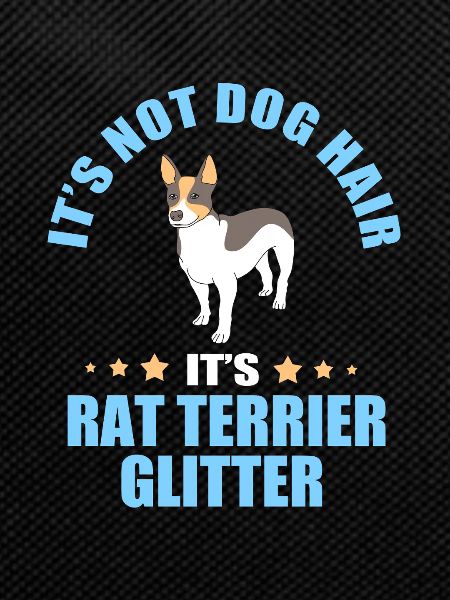 Rat Terrier