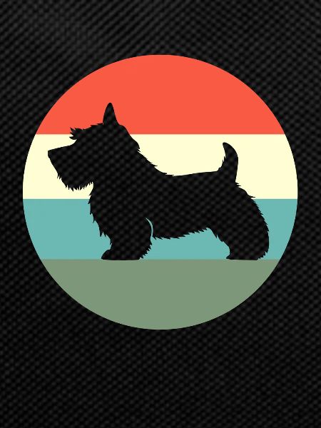 Scottish Terrier
