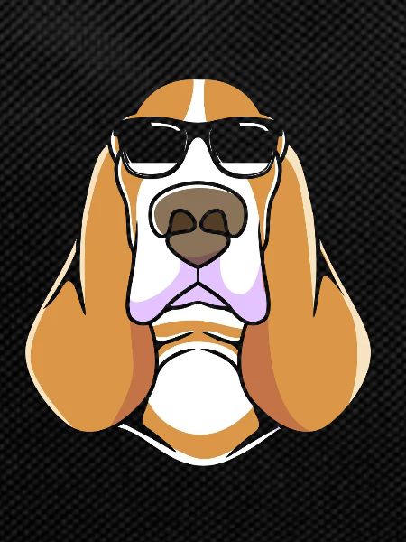 Basset Hound
