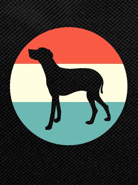 Weimaraner