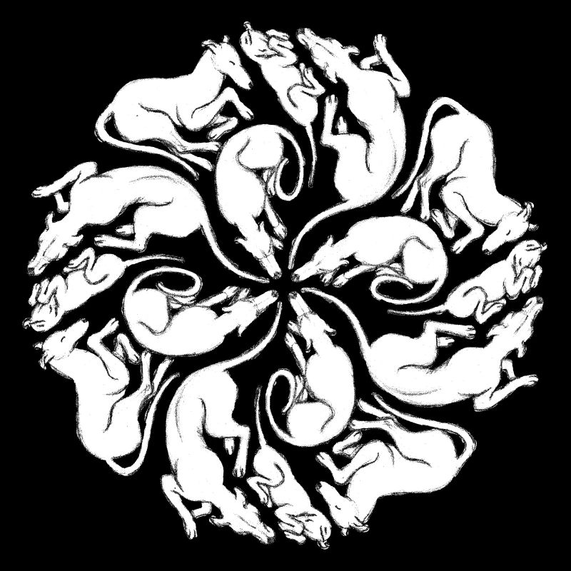 Galgo Mandala