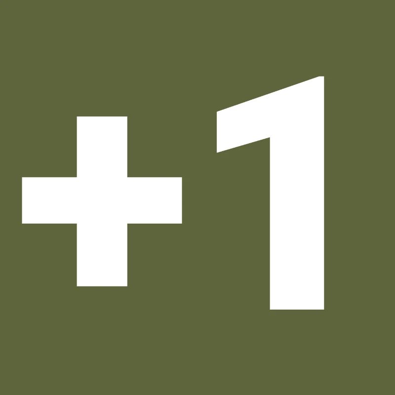 Plus 1 / +1