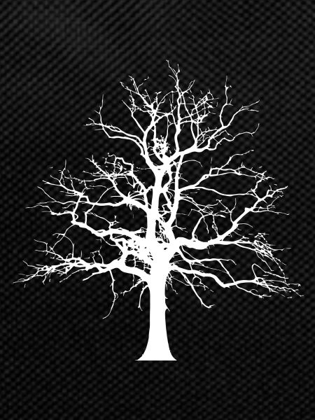Tree winter autumn