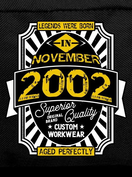 2002 NOVEMBER