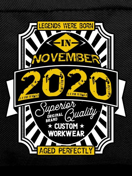 2020 NOVEMBER