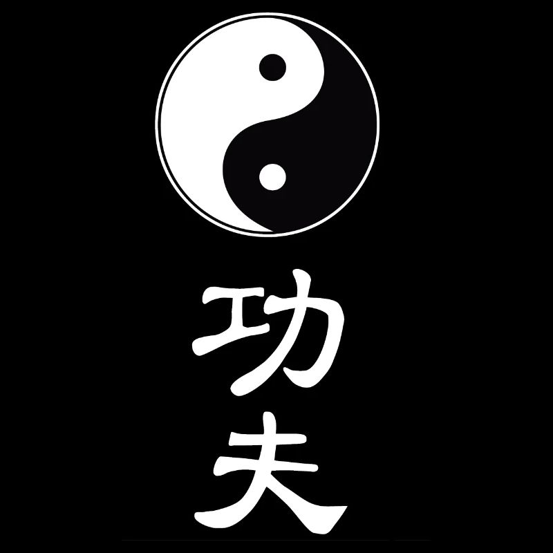 tao kung fu
