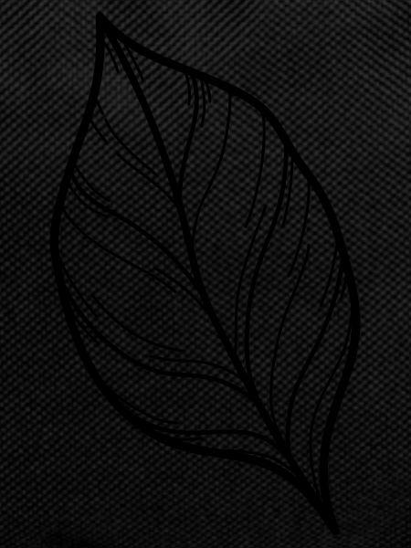 simple wildflower