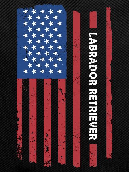 Labrador Retriever Us Flag