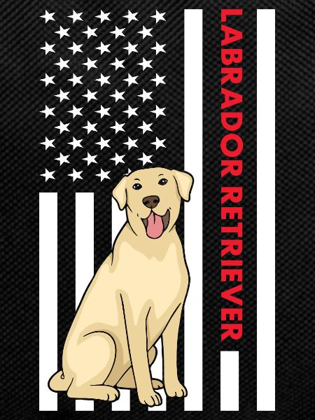 Labrador Retriever Us Flag