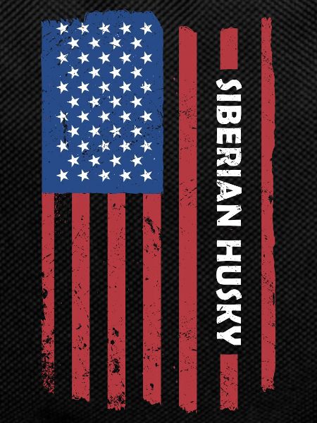 Siberian Husky Us Flag