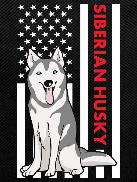 Siberian Husky Us Flag
