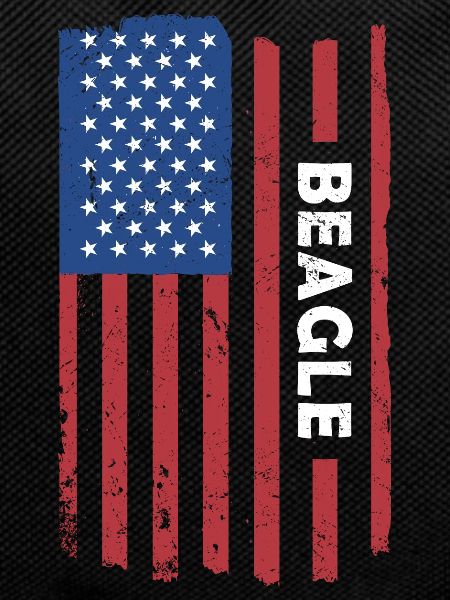 Beagle Us Flag