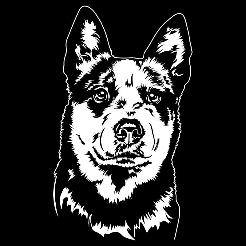 Australian Cattle Dog Hunde Portrait Wilsigns