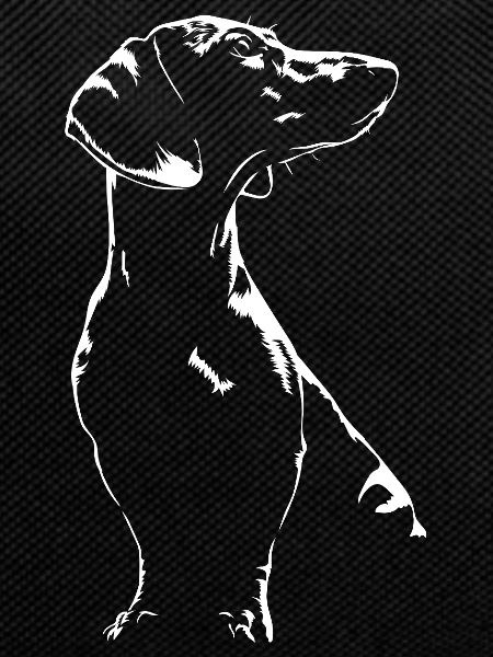 Dachshund Silhouette Dogs Dog Wilsigns