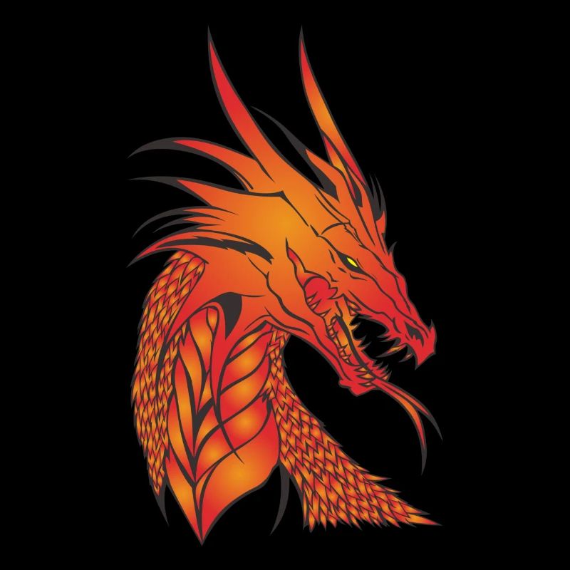 Wonderful mythical dragon