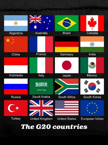 G20 flag