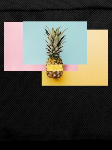 Bunte Ananas / Geschenk Idee