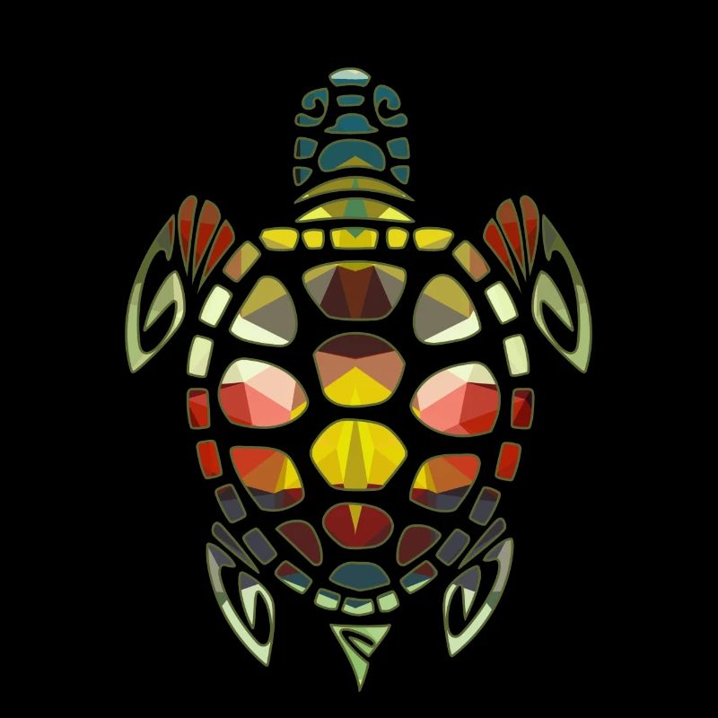 Turtle Geometric