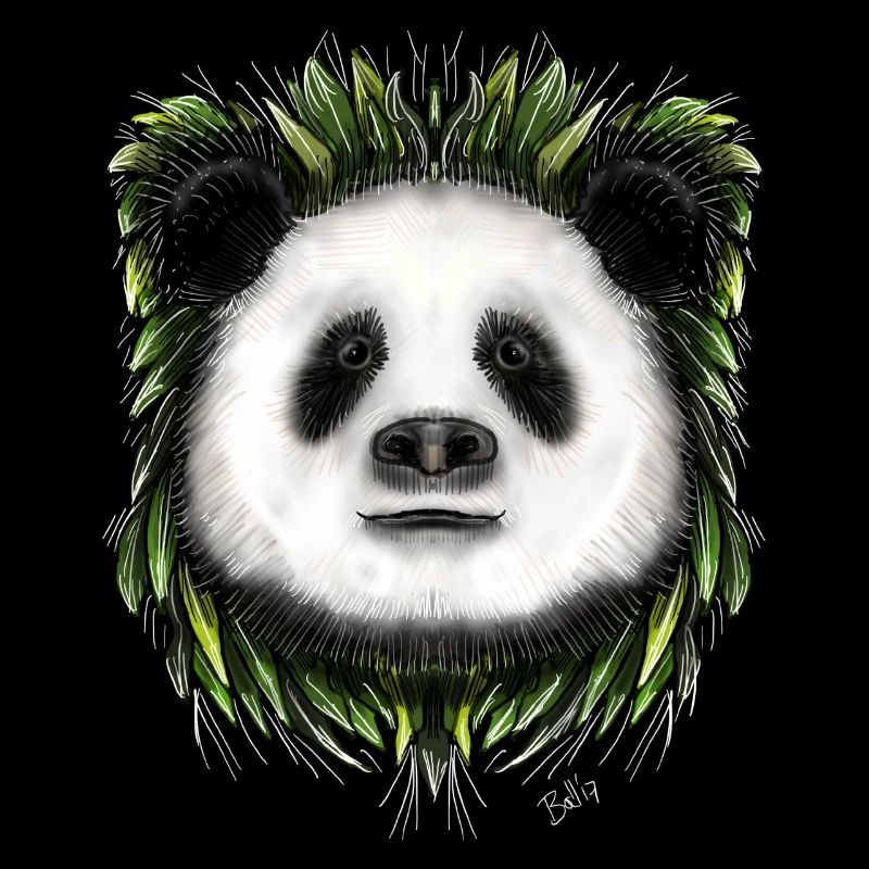 Ping Panda par Jon Ball