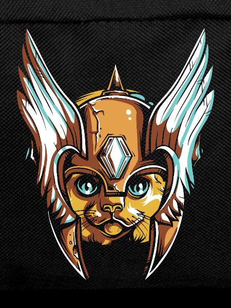 Cat with helmet