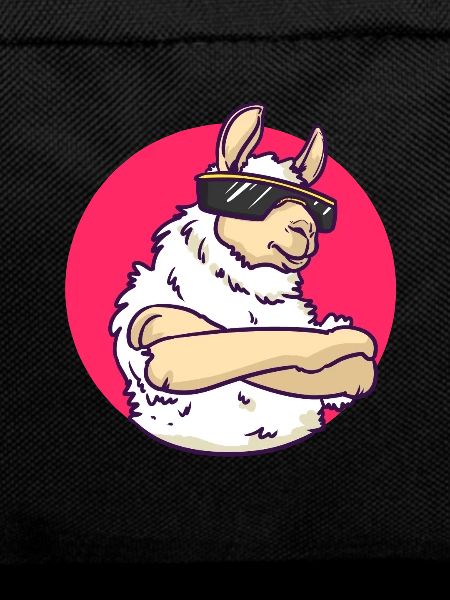 Cool Lama - Sunglasses - Gift