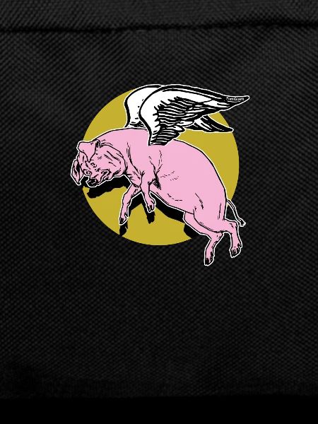 Flying Pig