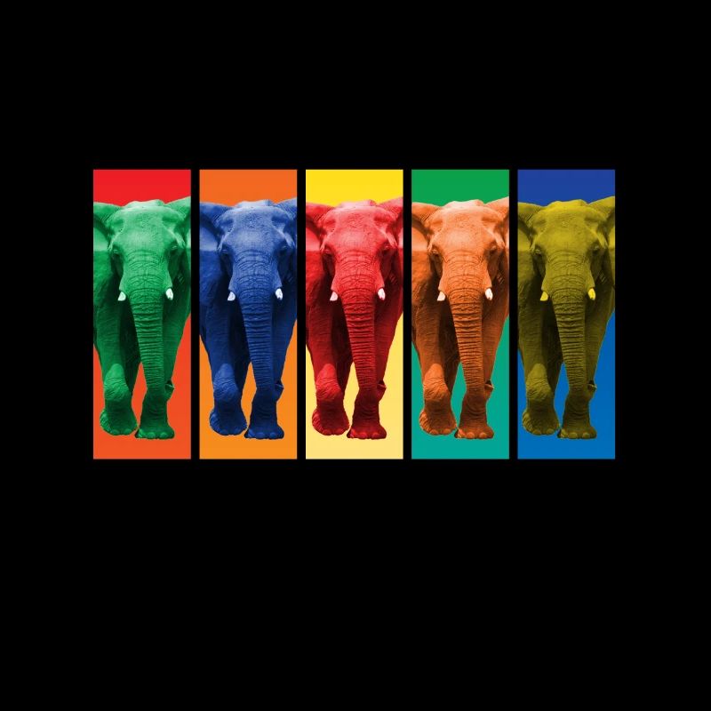 Éléphants - Pop Art