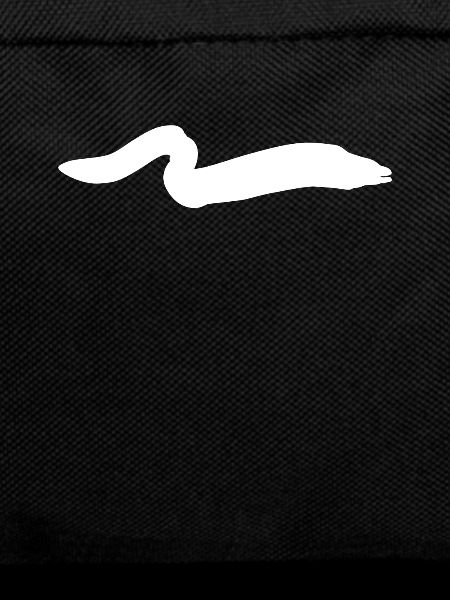 eel