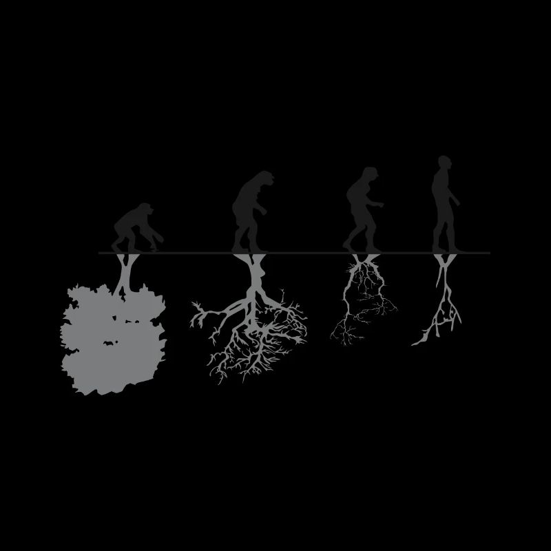 Evolution Black