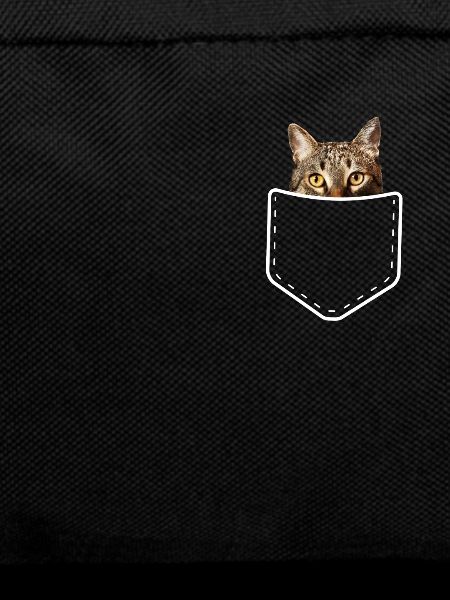 Cool Cat Pocket