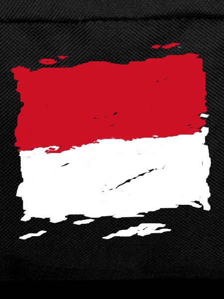 Monaco drapeau - Monaco flag - flag