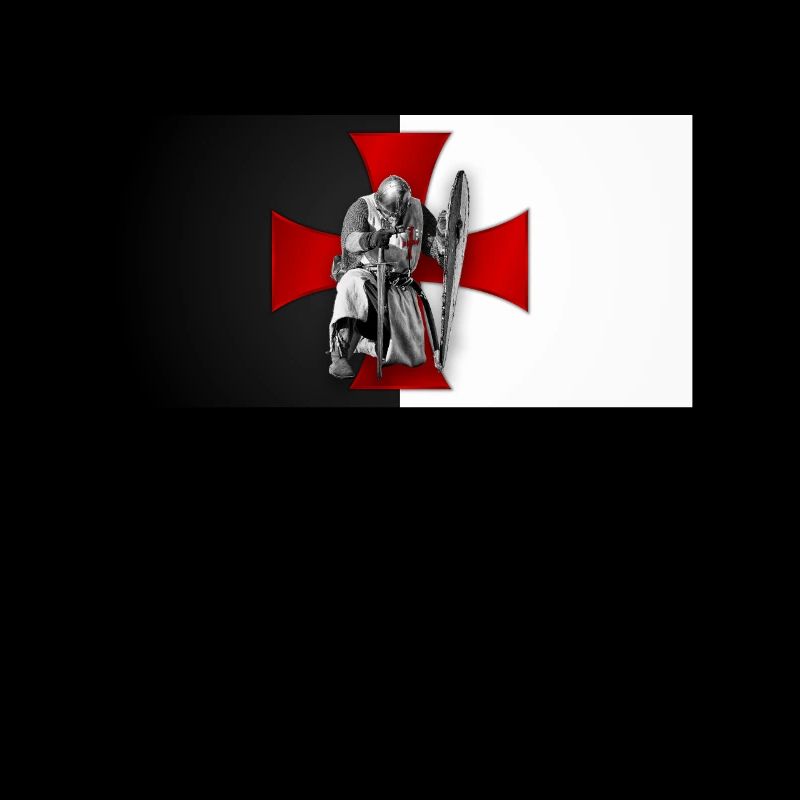 The Templar - The Templar