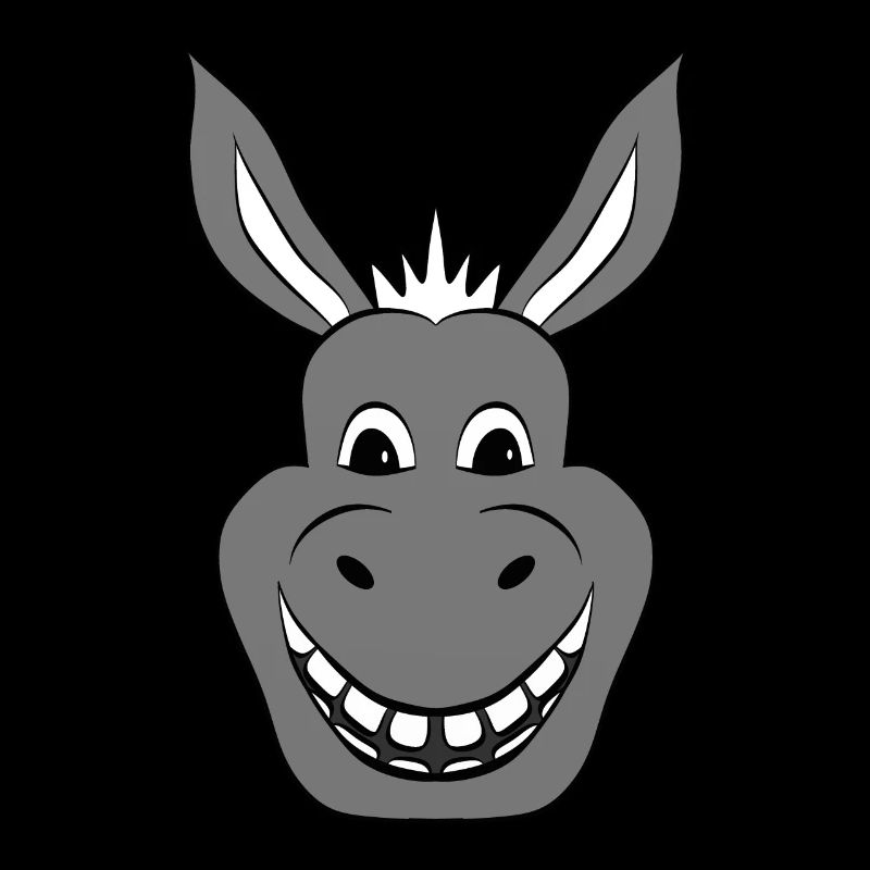 Donkey Donkey
