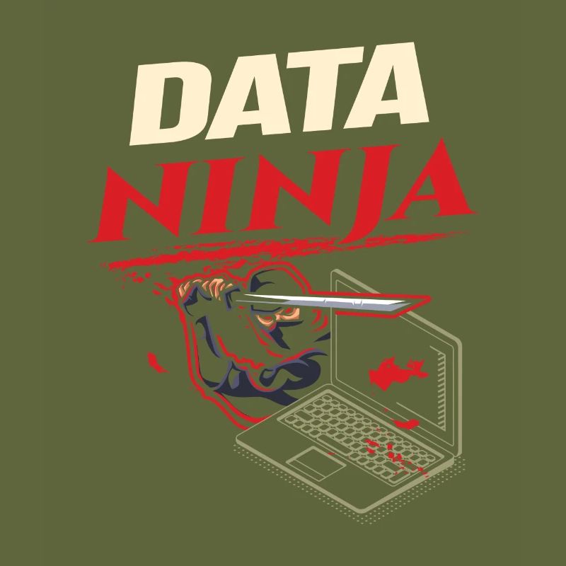 Data Ninja computer programming coder