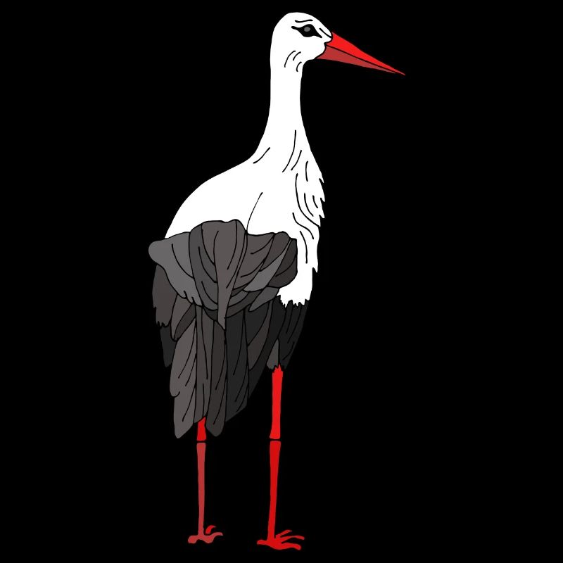Stork