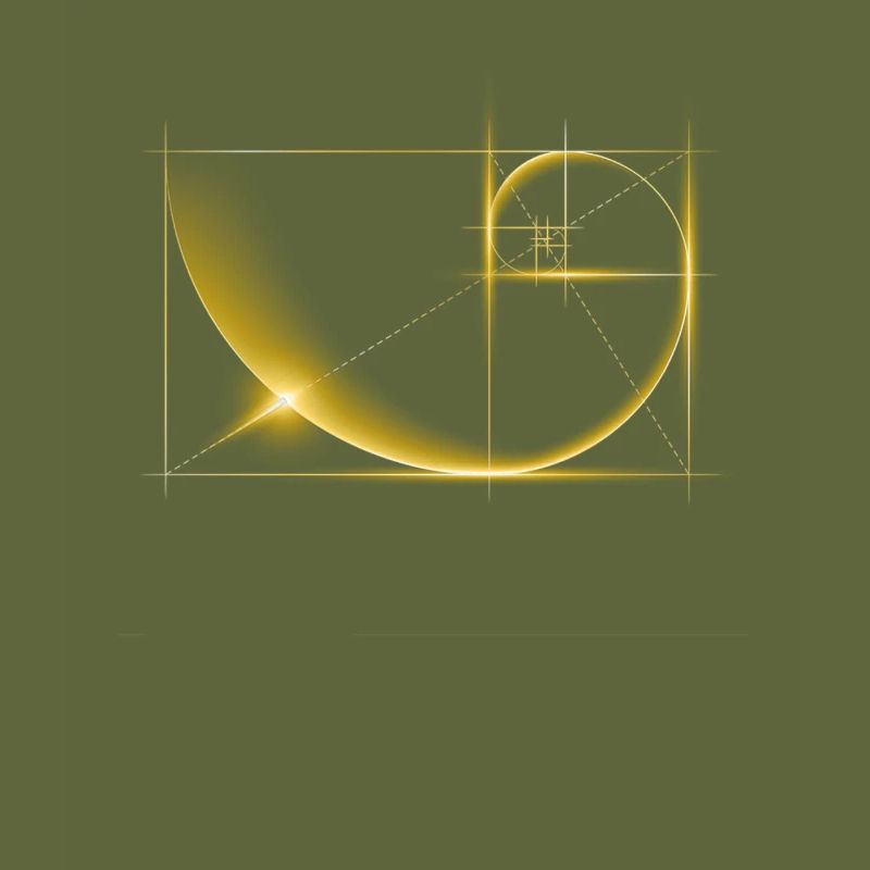 Fibonacci, section dorée