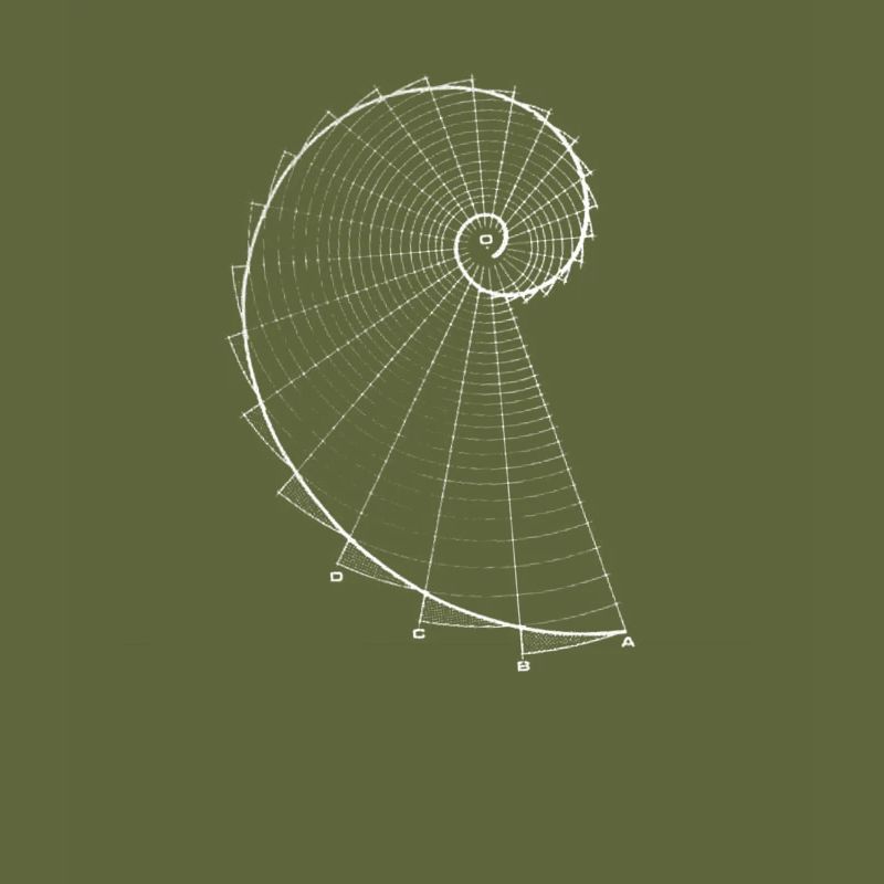 Fibonacci (chalk optics)