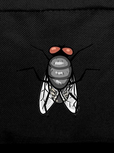 Fly Insects Animals