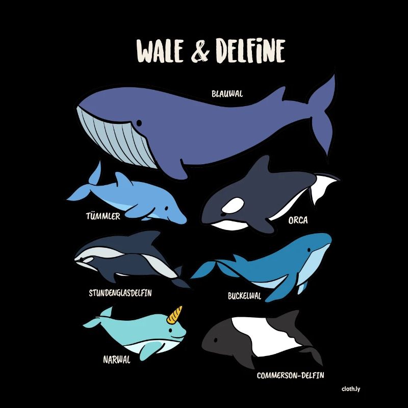 Wal Arten Delfine Orca Narwal